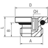 Afbeelding van Plugs with cylindrical male thread and NBR O-ring AIGNEP 3015