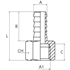 Image sur Female hose connections with threaded head AIGNEP 3050