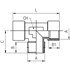 Afbeelding van Central female-female-male T-fittings AIGNEP 4040