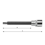 Image de Socket drivers 1/2" for Torx screws WRK