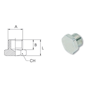 Afbeeldingen van Cylindrical male threaded plugs AIGNEP 3020