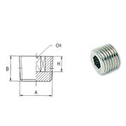 Afbeeldingen van Taper male threaded plugs AIGNEP 3025