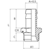 Image sur Male hose connections with cylindrical tapered head AIGNEP 3045